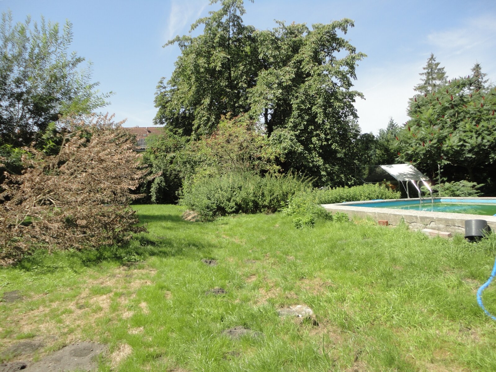 Vierseitenhof mit 2 Wohneinheiten,kleiner Gewerbeeinheit und viel Nebengelass.