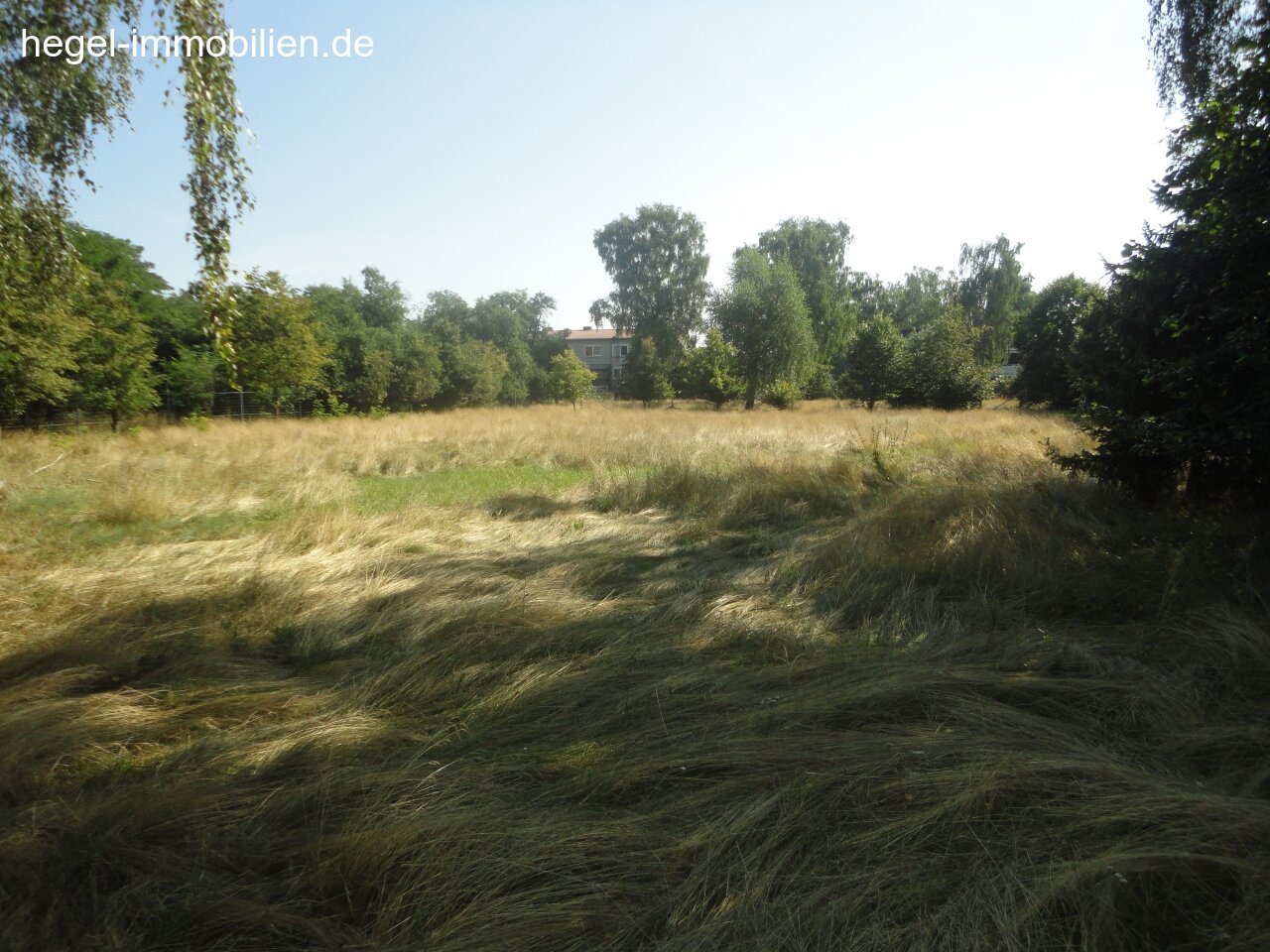Beispielbild
