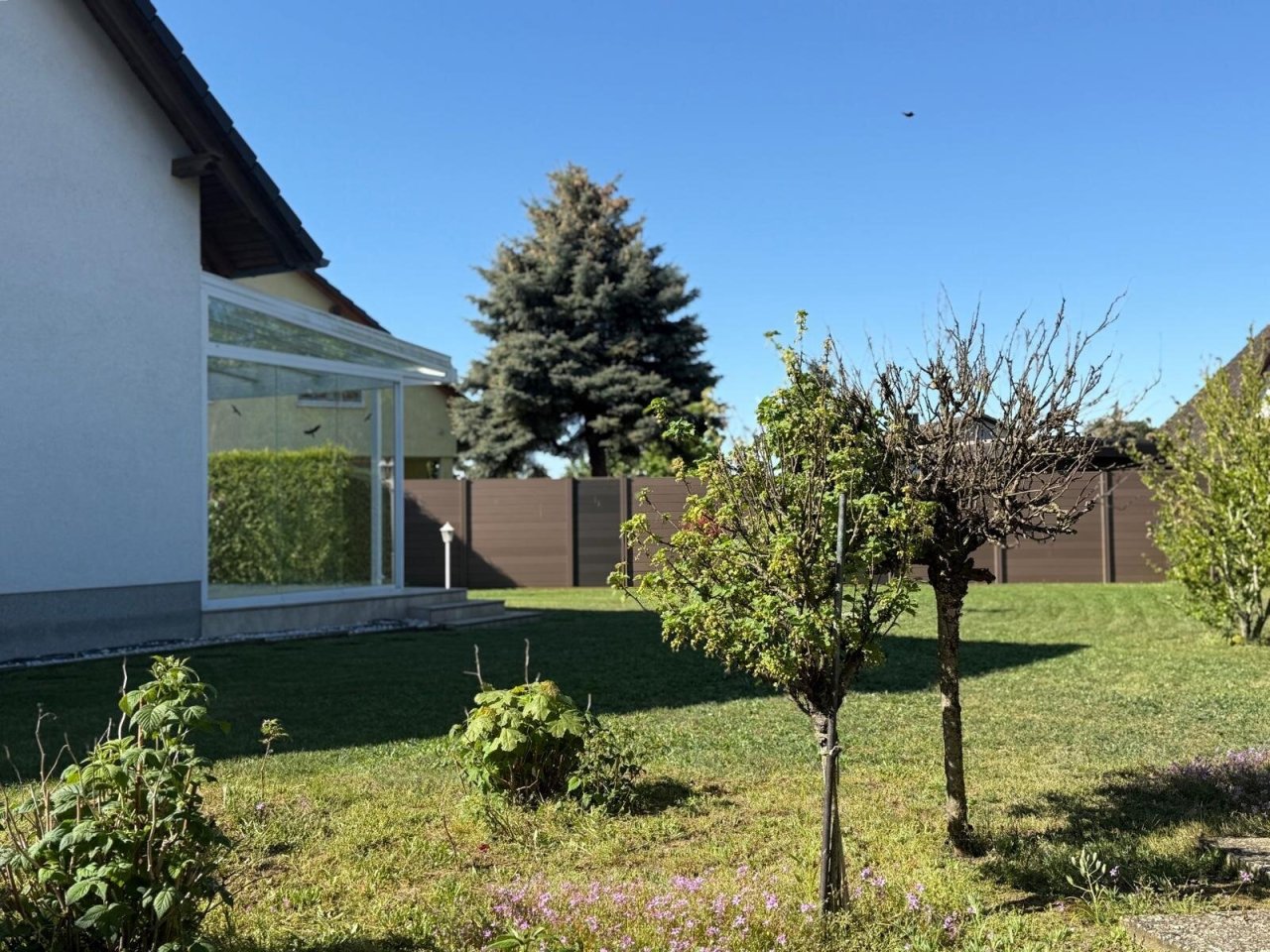Gartenseite Gartenseite