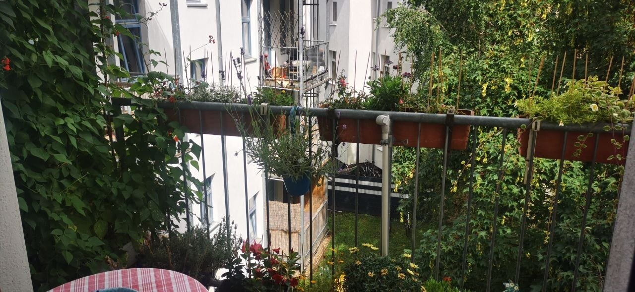 Blick vom Balkon
