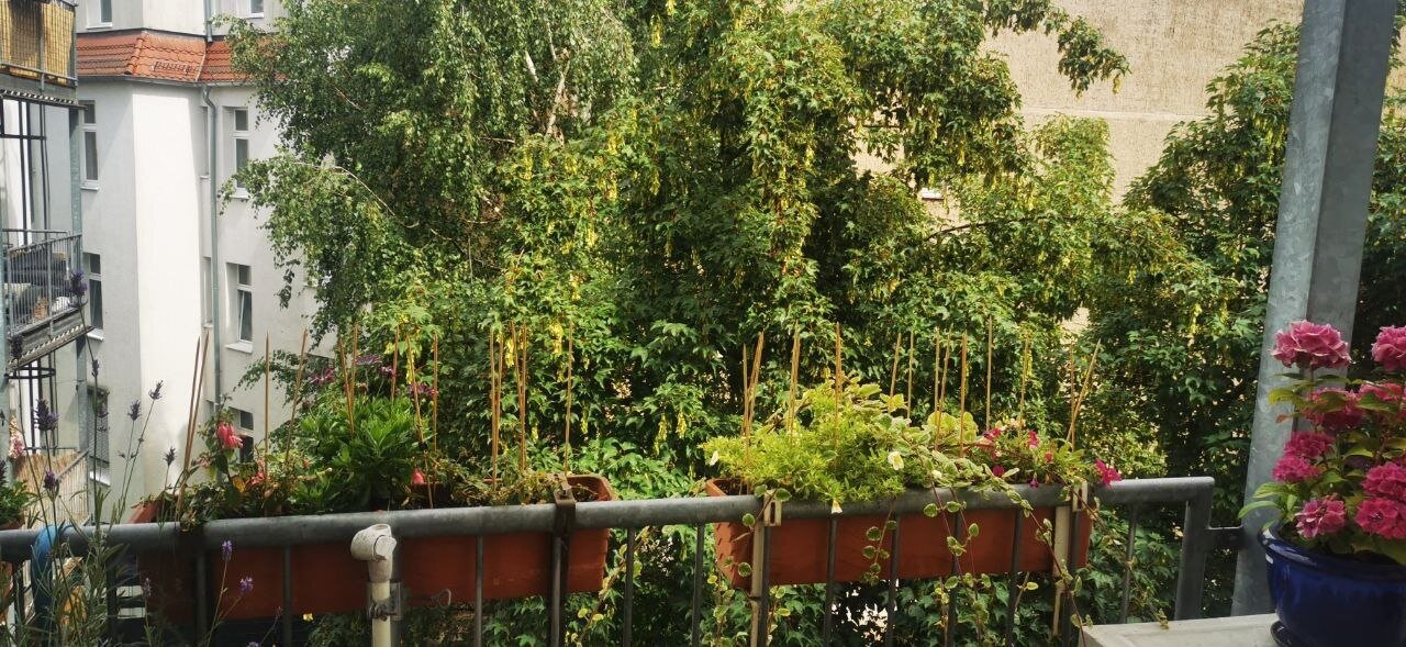 Blick vom Balkon