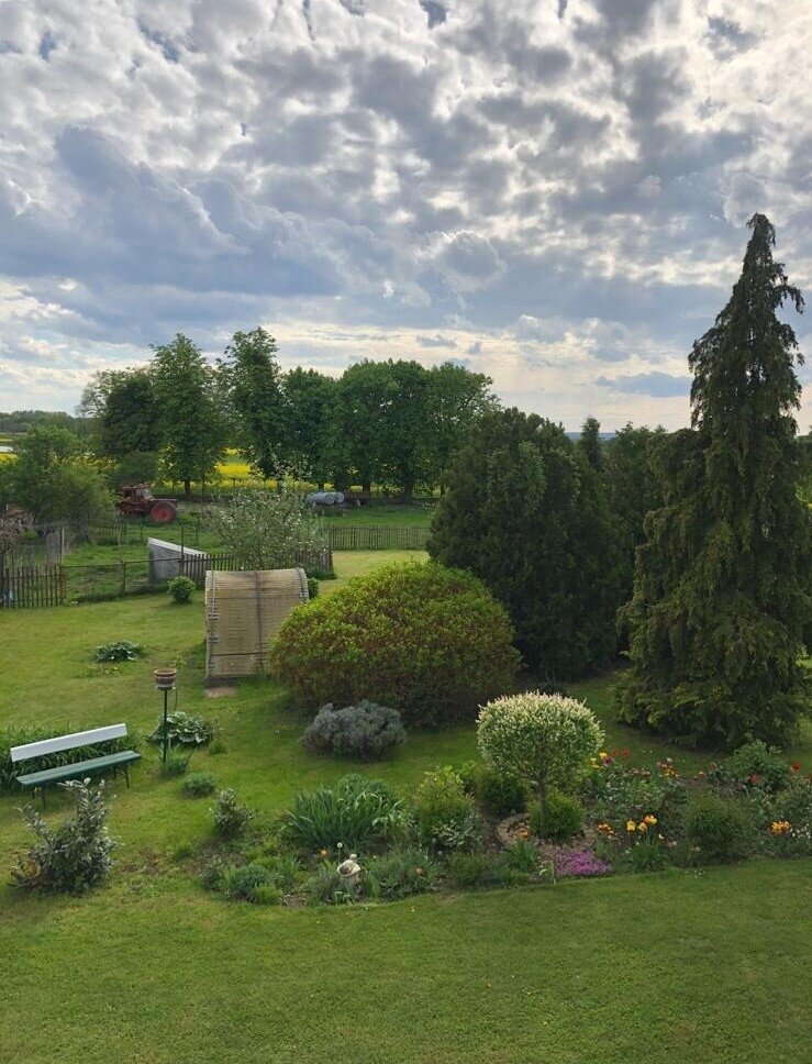 Blick über das Grundstück